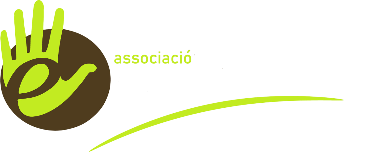 logo-vectorizado-Photoroom